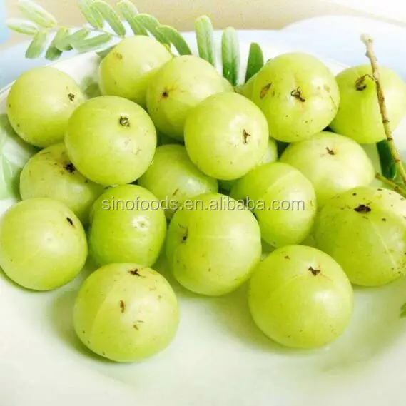 Yu Gan Zi Phyllanthus Emblica Fruit Extract Amla Tannin Extract