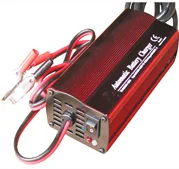 Hot Selling Good Quality Taiwan12V 2A 30W Lead Acid Battery Charger