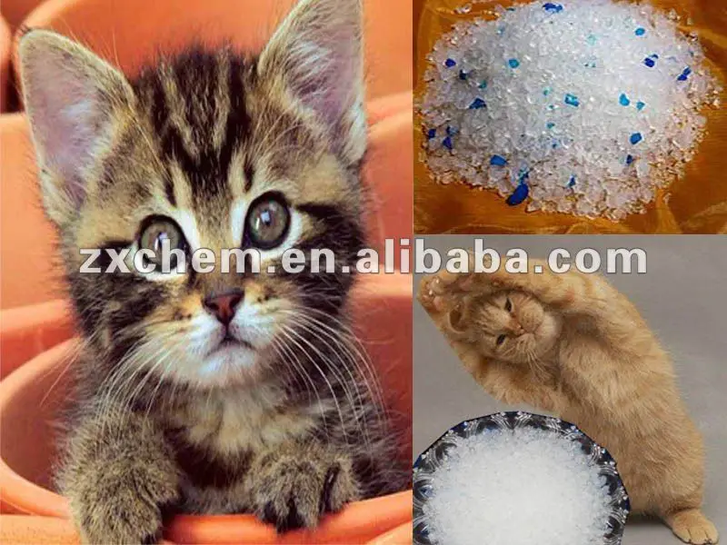 Silica Gel Cat Litter Crystal 3.8 L Bulk With 3 Blue Silica Gel Buy