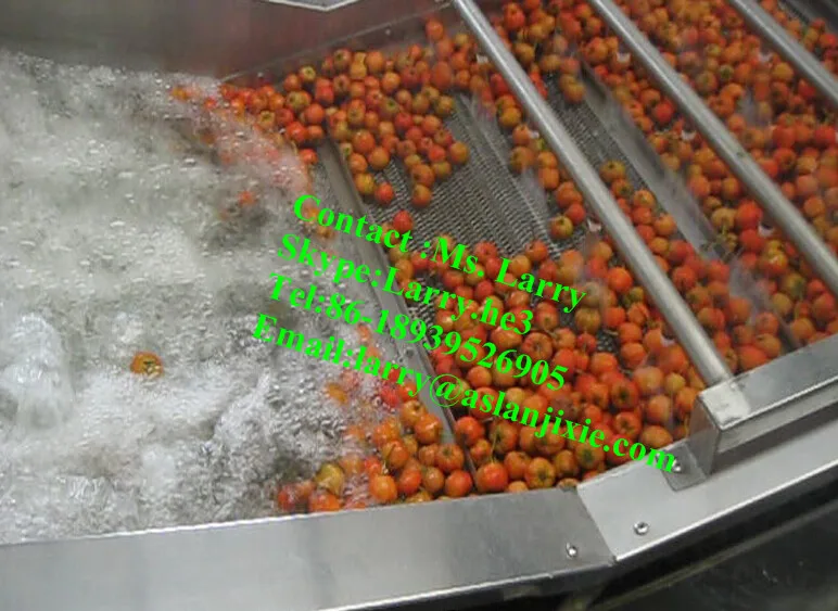 Large Capacity fruit cleaning machine/tomato washer/tomato washing