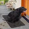 4 optional patterns Dust Mud removable outdoor shoe step magic clean door mat PE microfiber magic mat PP grass carpet