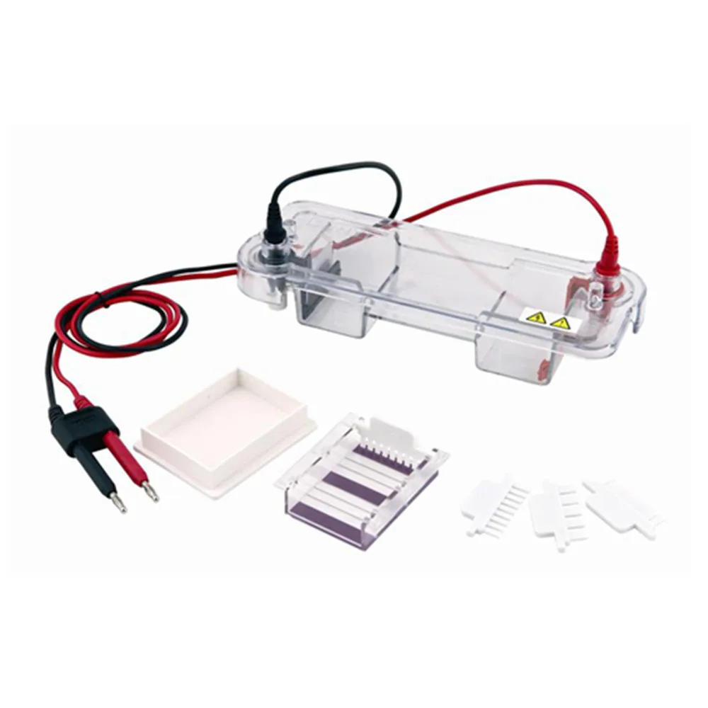 Horizontal Gel Electrophoresis Unit / Electrophoresis System