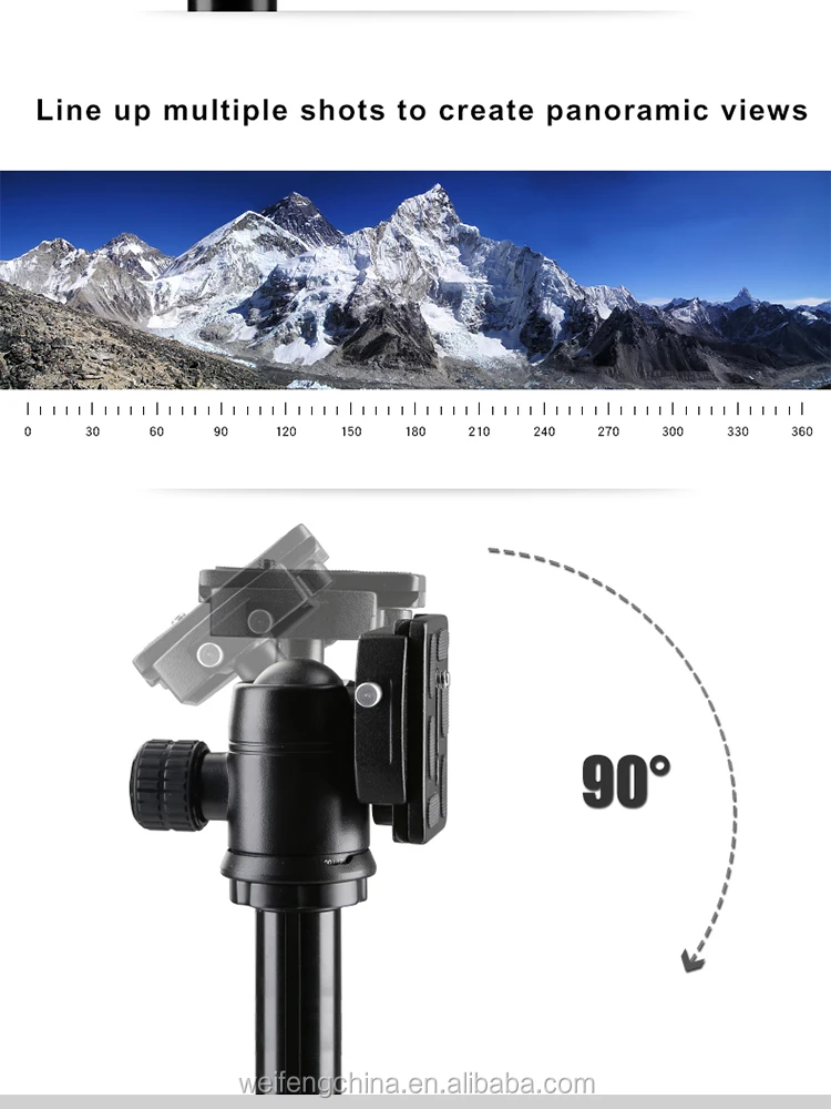 6620A_05.jpg