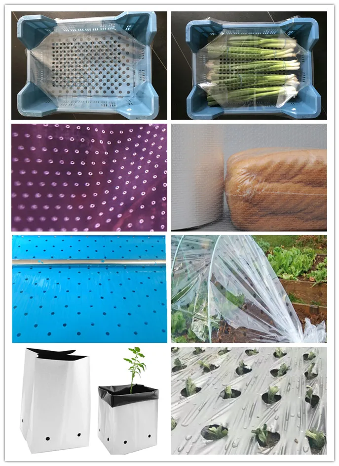 Plastic Ldpe Bags With Ventilation Holes To Allow Humidity Going Out