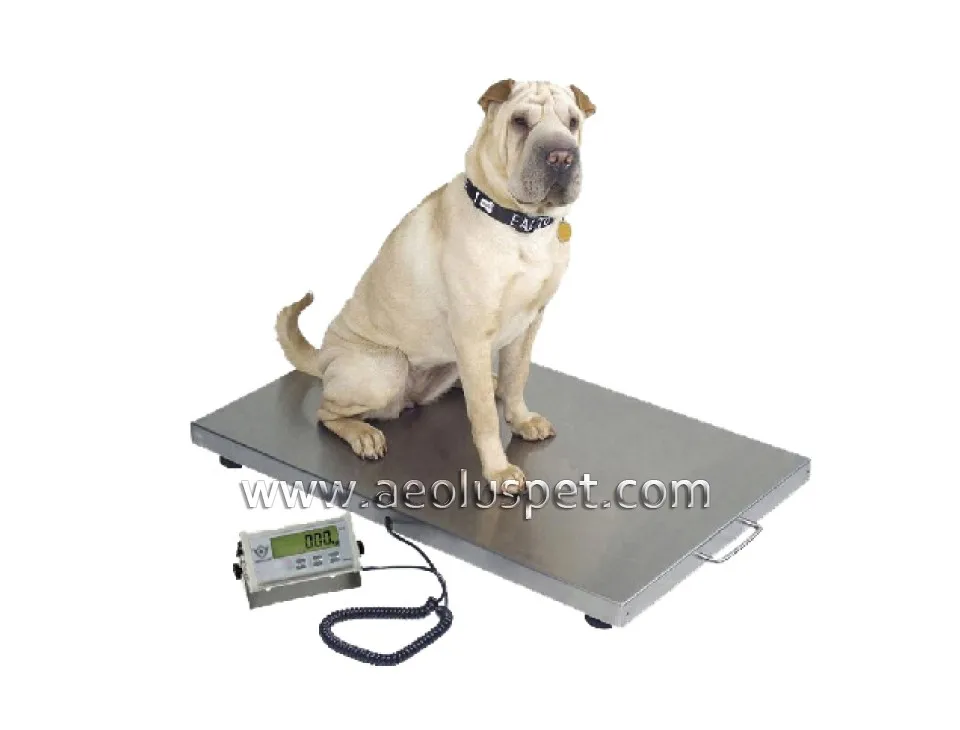 WOS-4824 Electronic Weighing Scales Walk on Scale for Large Pets Vet Hospital Equipment