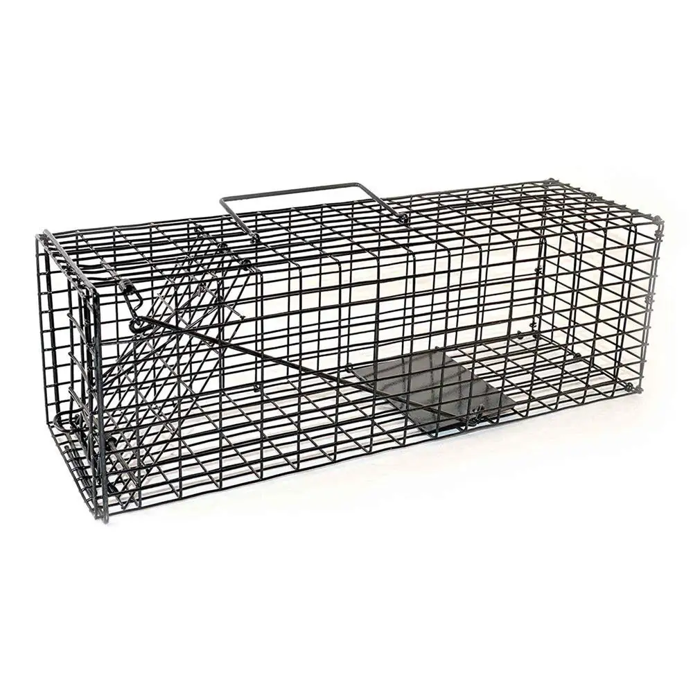 Cheap Raccoon Live Trap, find Raccoon Live Trap deals on line at