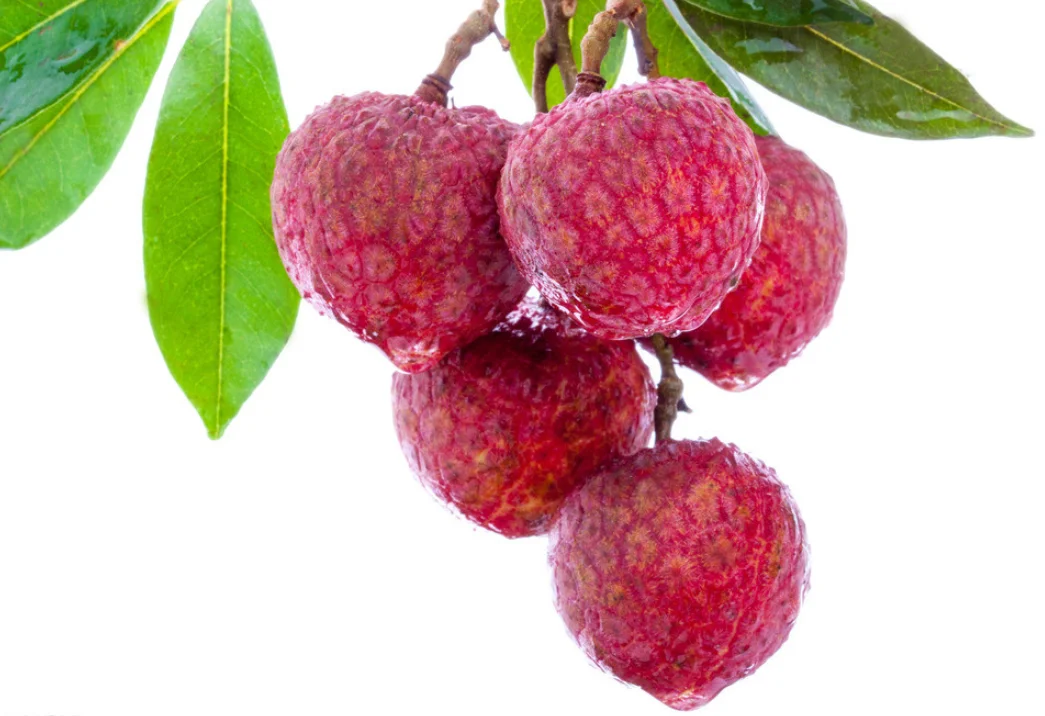 Body Care Naturally Brighten Exfoliate Innovative Formula Pure Pink Himalayan Salt scrub