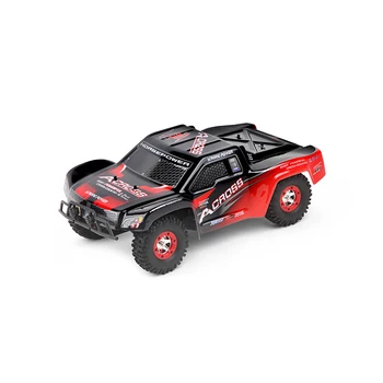 rc car large