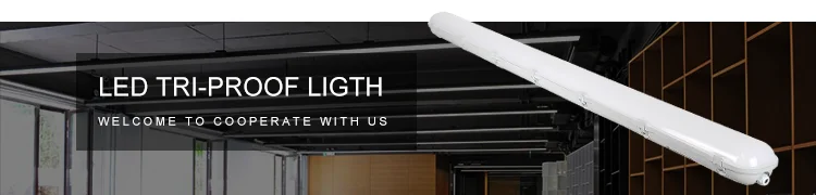 Coulin Ip67 DALI dimmable Led Triproof Lamp 20w PC Material Batten Led Light/waterproof Led Light