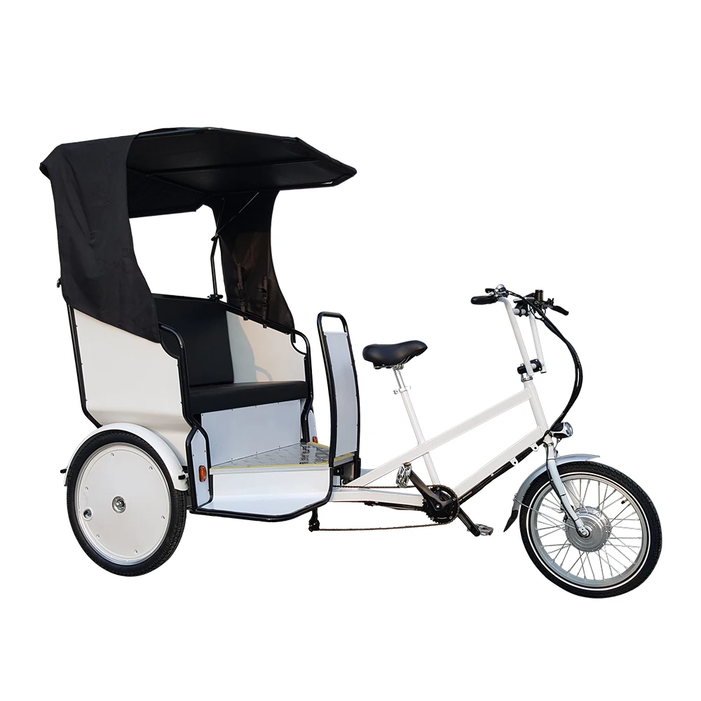 goplus tricycle