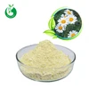 Super Anacyclus Pyrethrum Extract/Anacyclus Pyrethrum Powder/Anacyclus Pyrethrum