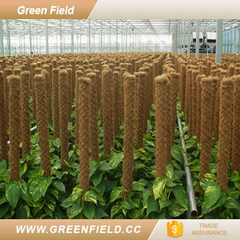 Climbing Plant Support Coco Stake Natural For Climbing Plant Support Coco Stake