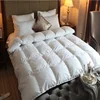 Luxury sell well winter patchwork quilt set down duvet cover