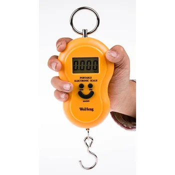 hanging weight scale