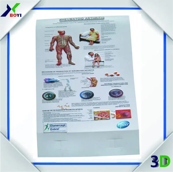 Best Seller Medical Wall Chart,Embossed Medical Poster Digital Printing Uv Print The Anatomy Of
