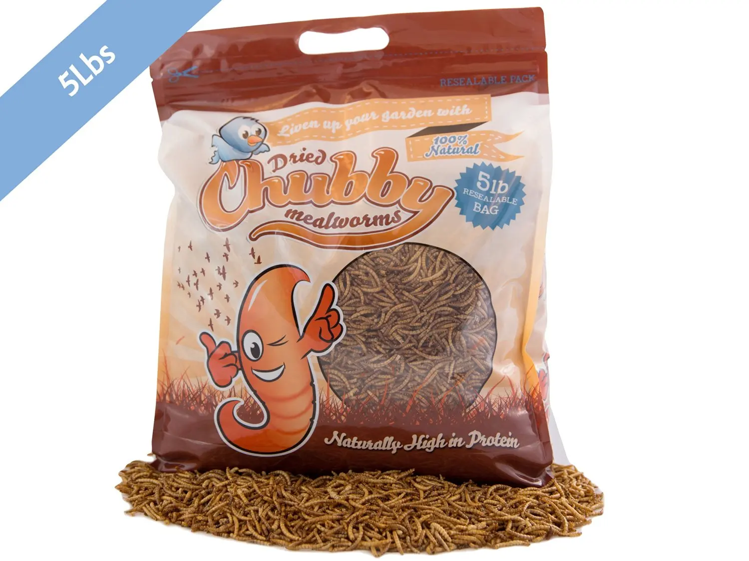 Buy Wild Birds Etc All Weather Bird Seed Feeder Clear 4qt In