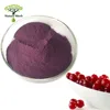 Best extract powder dried fruit freezen cranberry