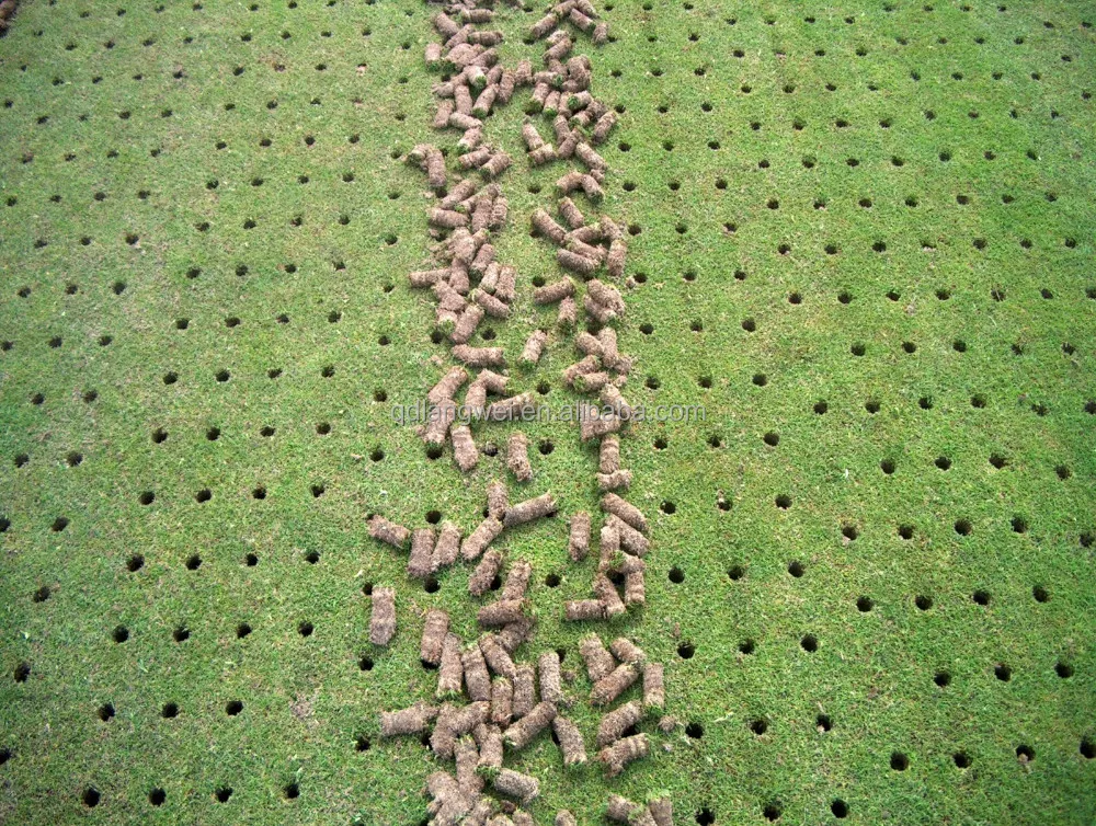 Alta calidad manual de acero césped aireador-Otros Herramientas de