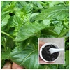 Grass jelly powder easy to make gray grass jelly powder