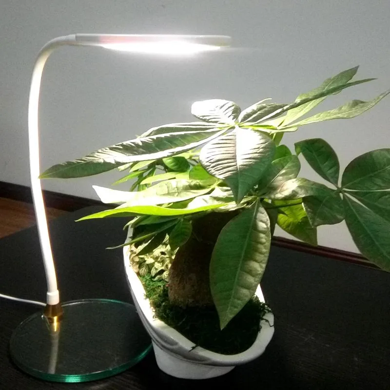 China New Innovative Product 4w Led Plant Grow Lights