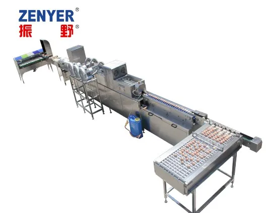 
best price egg grading and washing machine for chicken house 