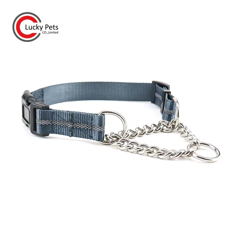 chain martingale collar with buckle