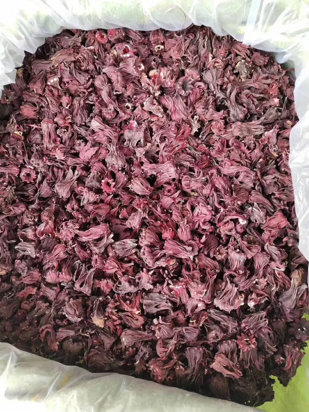 Dry Red Roselle Tea Hibiscus Flower Organic Dried Hibiscus Tea Prices Dried Hibiscus Flower Tea - 4uTea | 4uTea.com