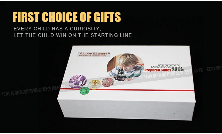 11 prepared slides.jpg