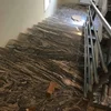 Anti slip granite stairs price for Paradise wave stone