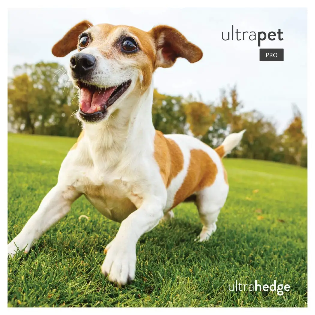 indoor turf dog potty pro