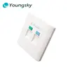 Cat5e wall socket lan socket 2 port face plate