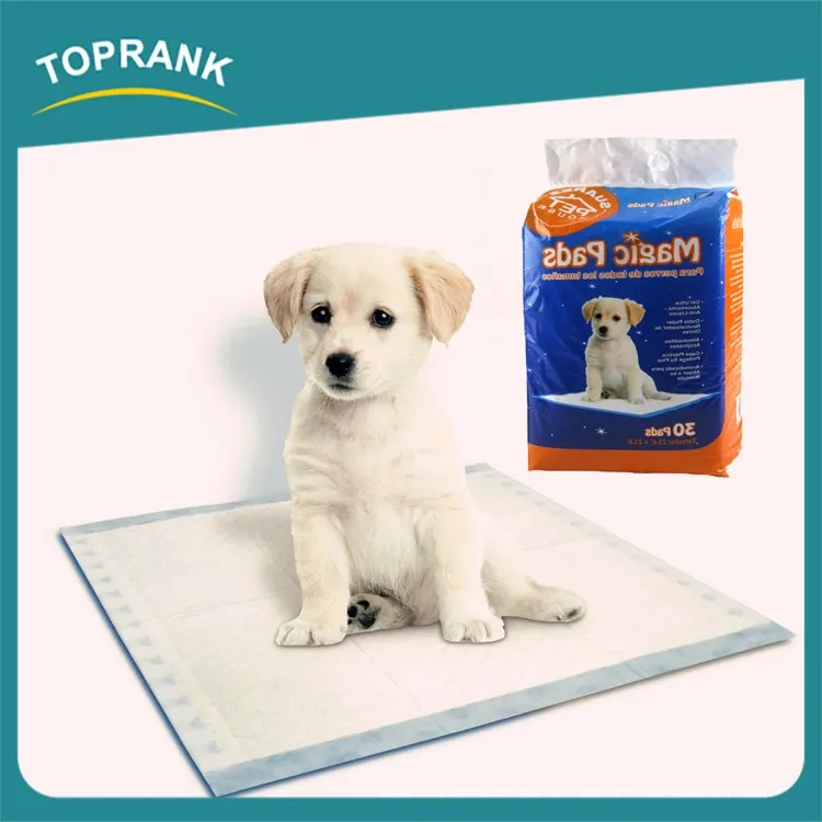 Nonwoven Urine Absorbent Pet Pad,Magic Pet Dog Pee Pad,Disposable Puppy
