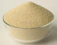soybean meal for animal feed