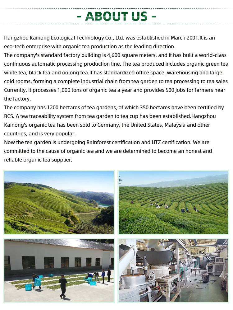 100% Organic shui xian oolong tea slimming tea certified USDA and EC - 4uTea | 4uTea.com