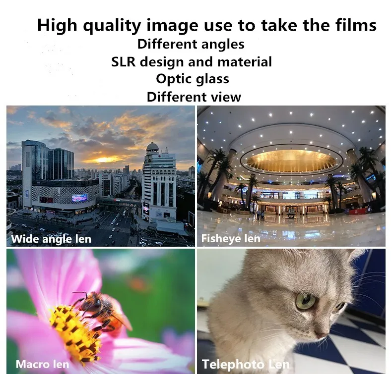 II_06__.jpg