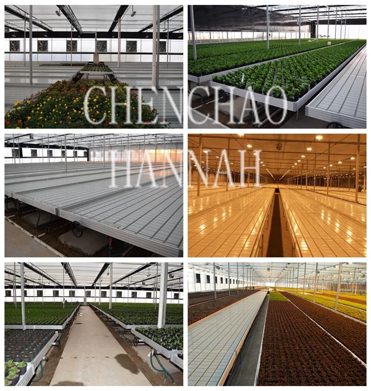 GREENHOUSE  TABLE.JPG