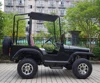 Automatic adult 150CC 200cc 300CC UTV with CE