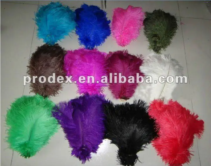 dying ostrich feathers