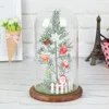 New Products Cute Cartoon Santa Claus Led Micro-Landscape Home Office Lighting Decoration Bionic Plant In Glass For Christmas