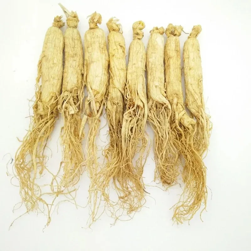 The Genuine Ginseng From Northeast Buy The Genuine Ginseng,Ginseng