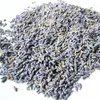 Xun yi cao zi Growing herbal medicine lavender plant seeds