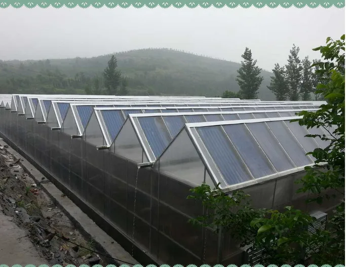 QQ20150420095524.jpg