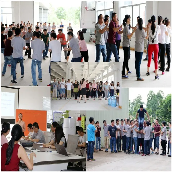 Our Team