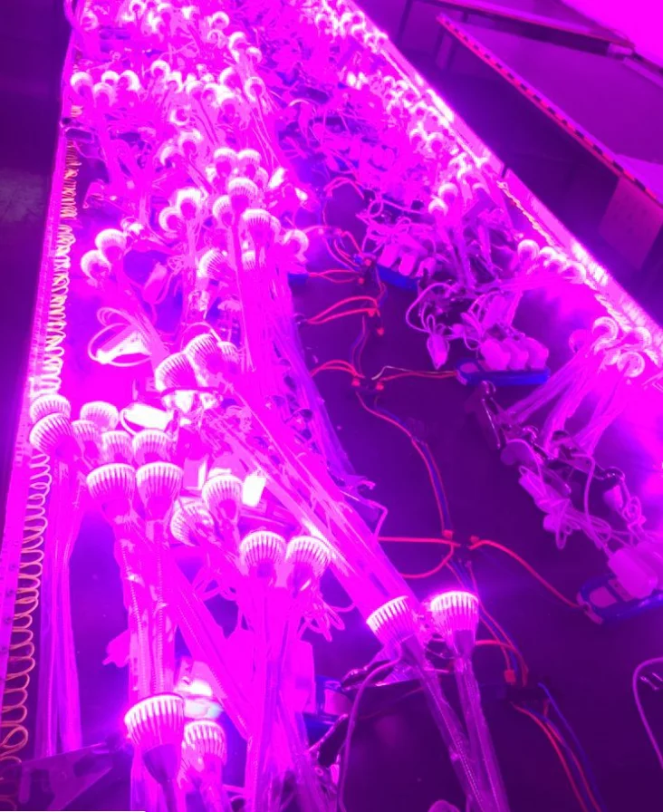 plant grow light1.png