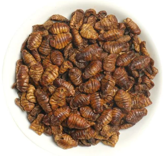 Top Grade Frozen Dried Silkworms Pupae - Buy Dried Silkworm Pupae,Pet ...