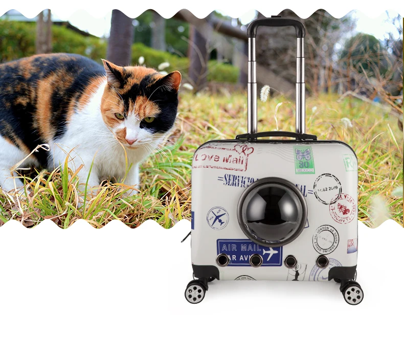 Pet trolley carrier (22).jpg