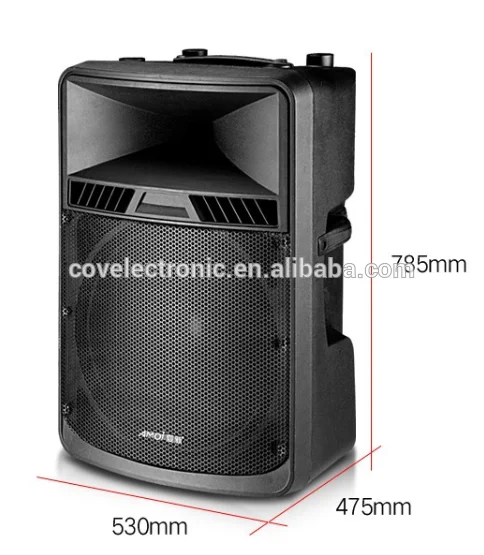 speaker portable 18 inch