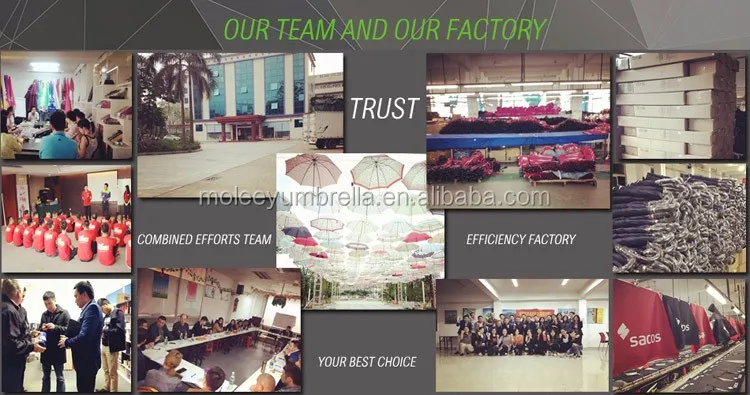 Our Team and Factory.jpg