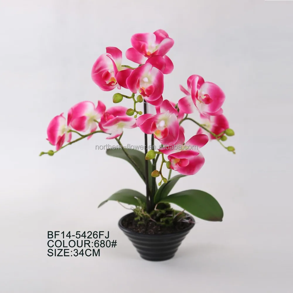 Indah Bunga Anggrek Buatan Di Pot Plastik Untuk Semua Kesempatan Buy Bunga Anggrek Buatan Murah Buatan Bunga Anggrek Bunga Anggrek Buatan Grosir Product On Alibaba Com