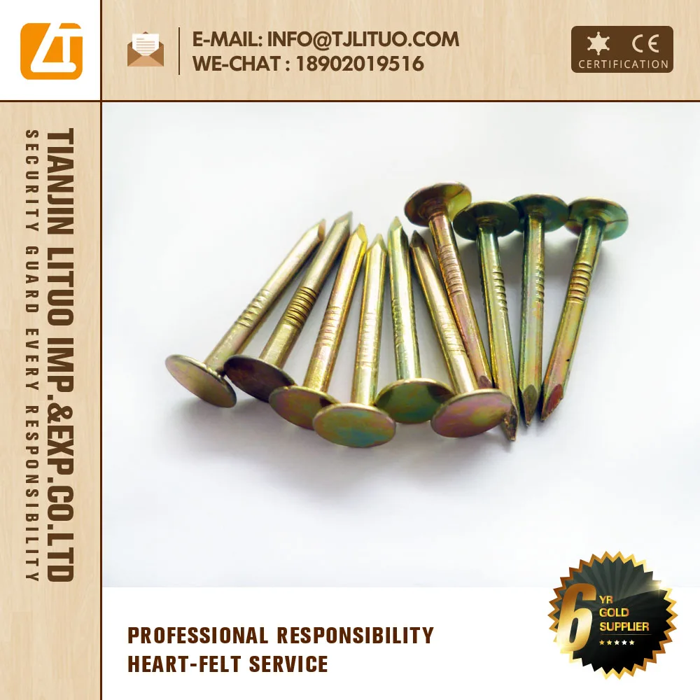 Galvanized Big Head Nail Round Big Head Nails Lead Head Nail Tianjin